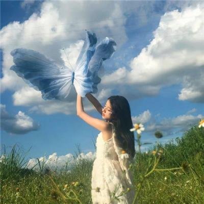 欲望阶梯